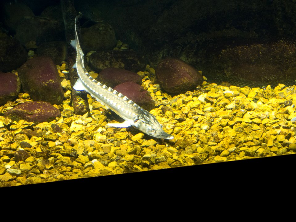 P5140262