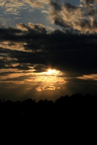 IMG 0120