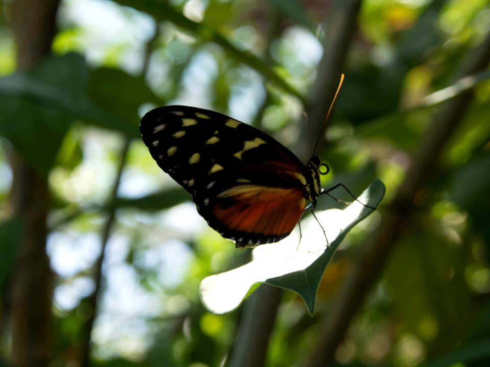 P5140275