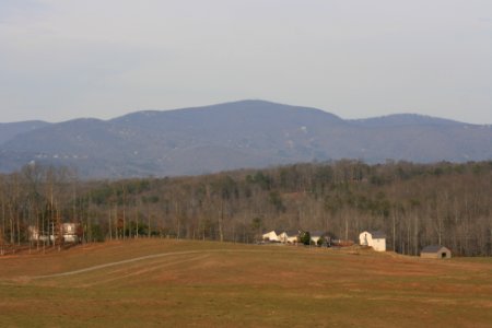 IMG 0187