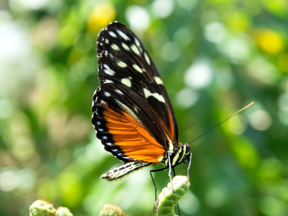 P5140282
