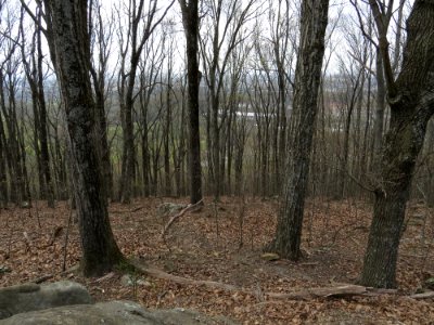 IMG 0069