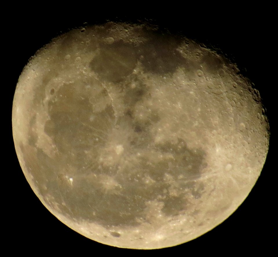 Day 338 - "Well, it's a marvelous night for a Moondance. With stars up above in your eyes." - Van Morrison