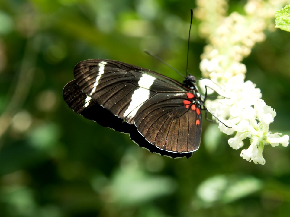 P5140151