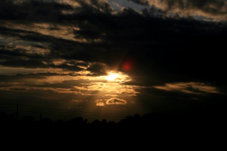 IMG 0122