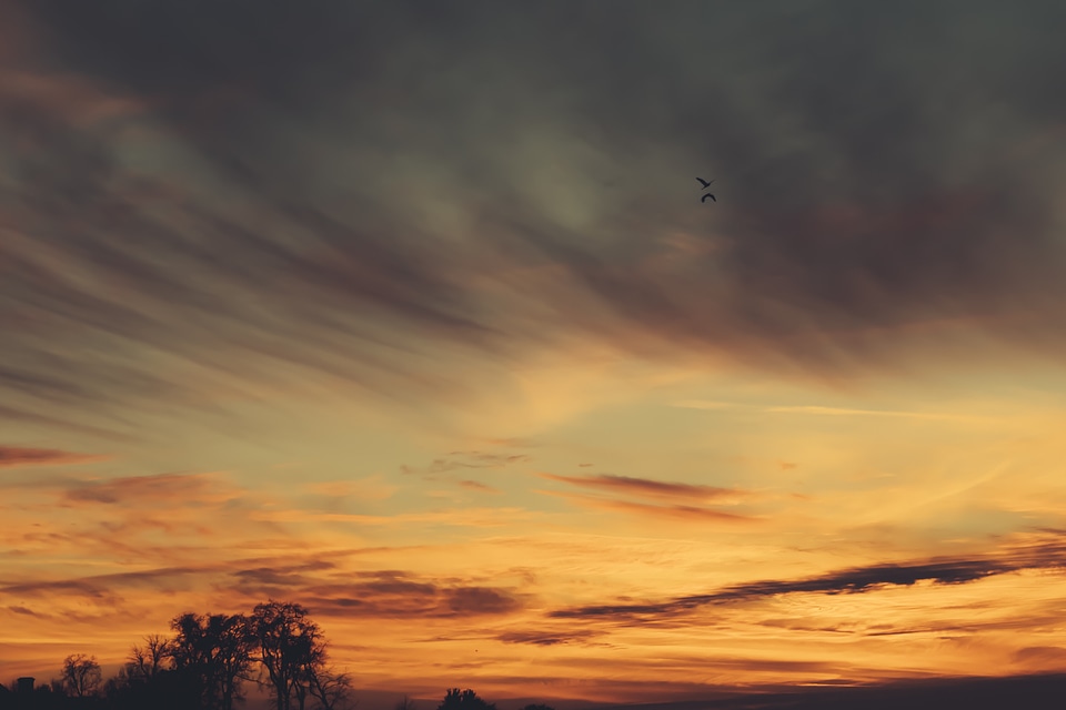 Sunrise dawn dusk