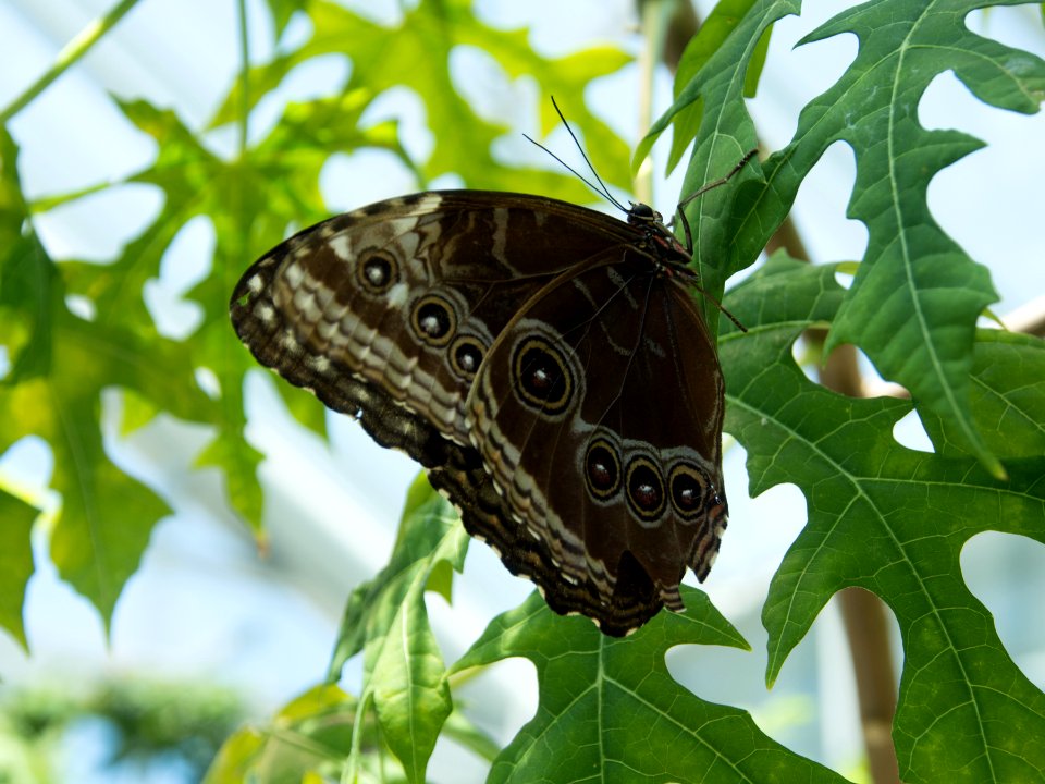 P5140148