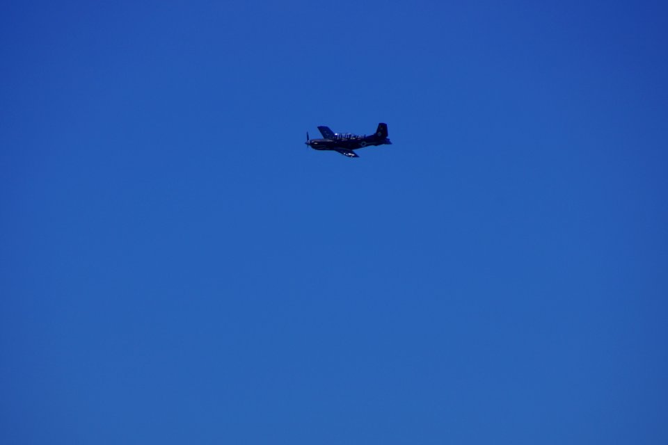 DSC08247