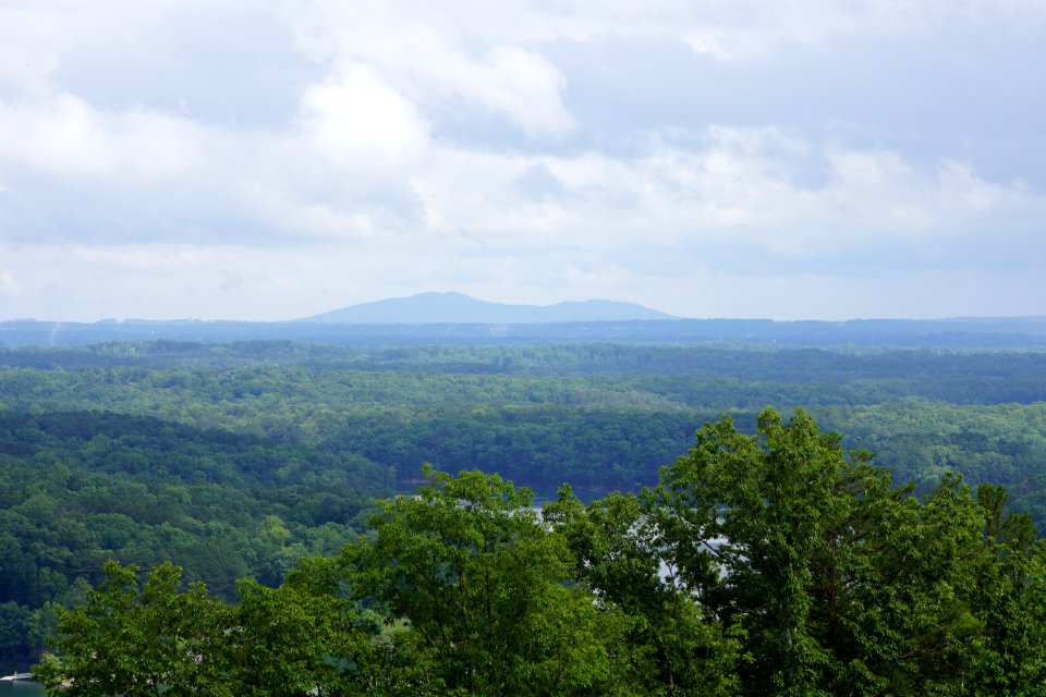 DSC06819