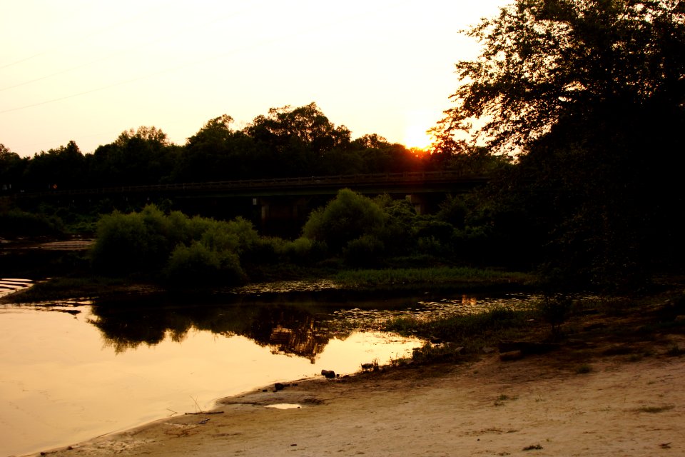 The Ogeechee River