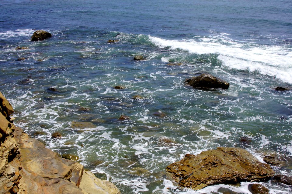 DSC08263