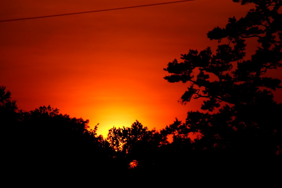 Effingham County Sunset