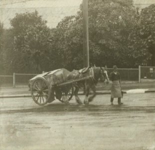 Horse and Cart Street Cleaner, Auckland