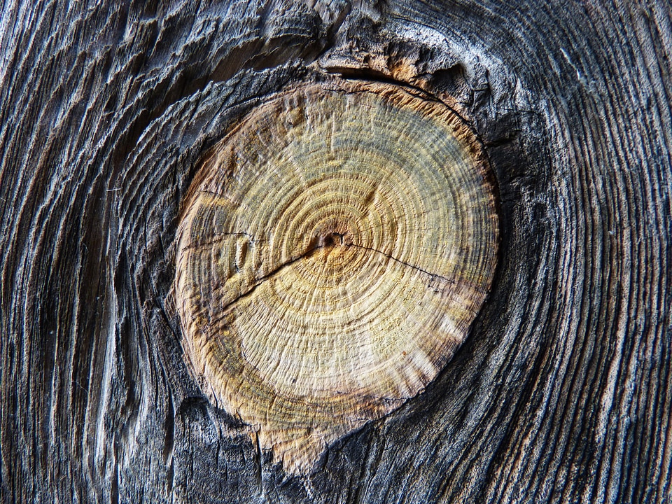 Trunk knot cuartedado