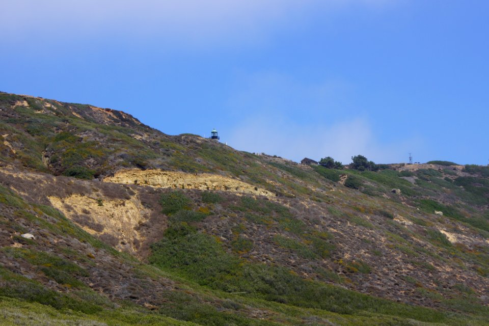 DSC08253