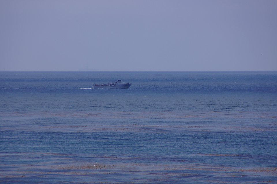 DSC08257