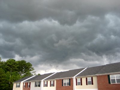 IMG 0526