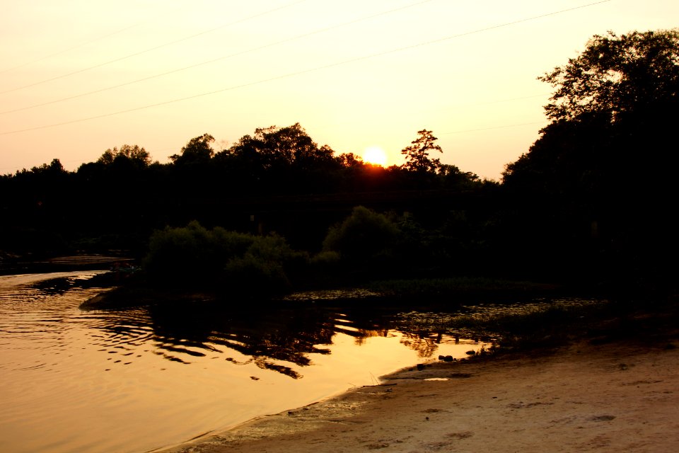 The Ogeechee River
