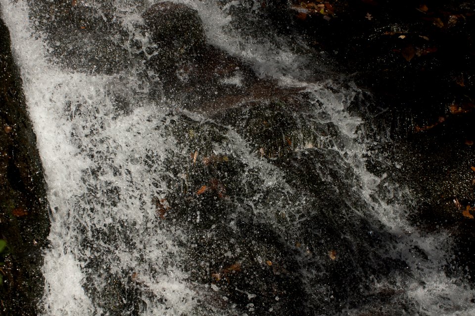 DSC5185