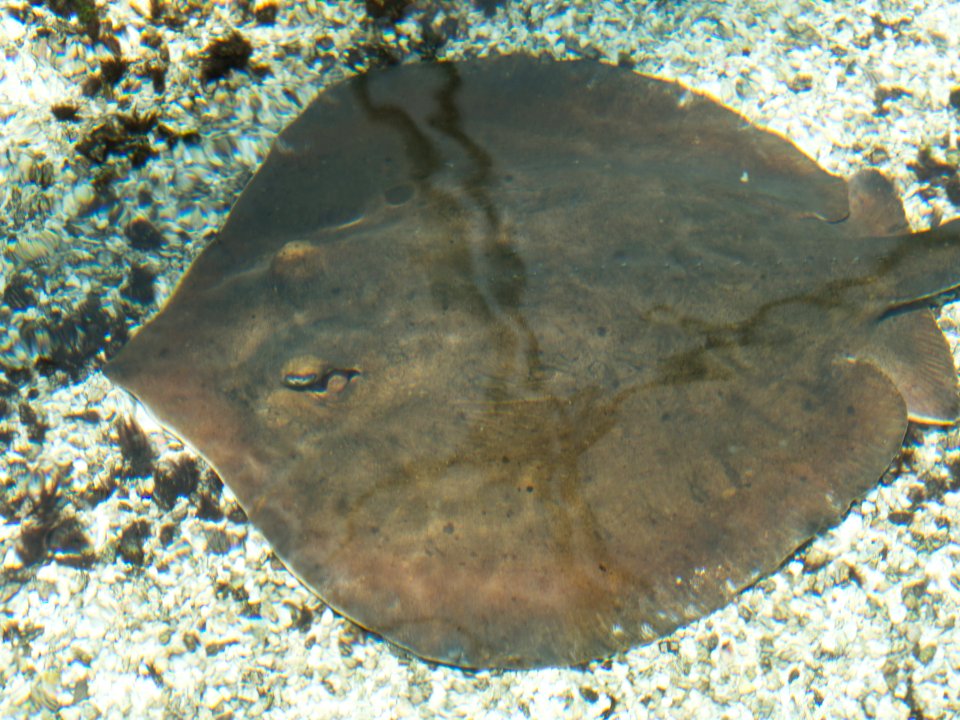 P5140144