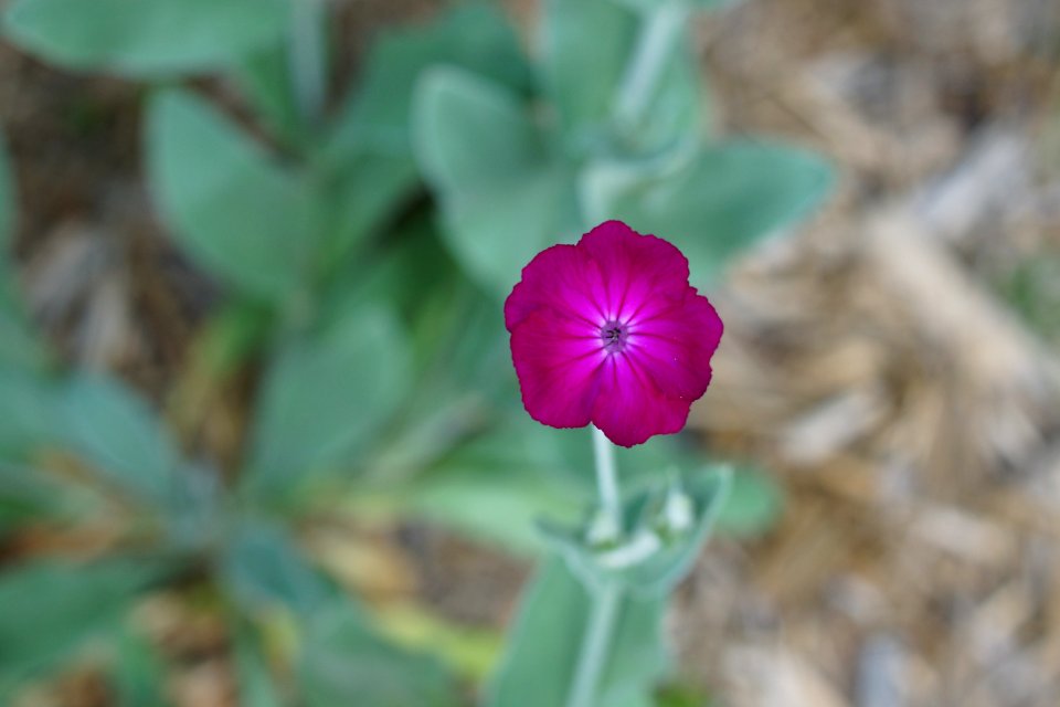 DSC05607