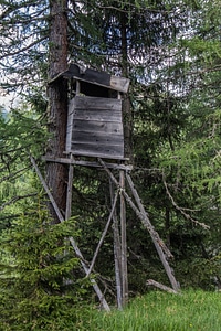 Wood delight hunting