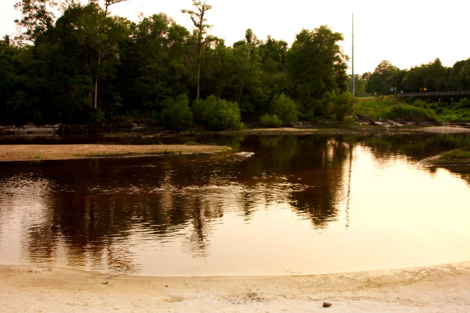 The Ogeechee River