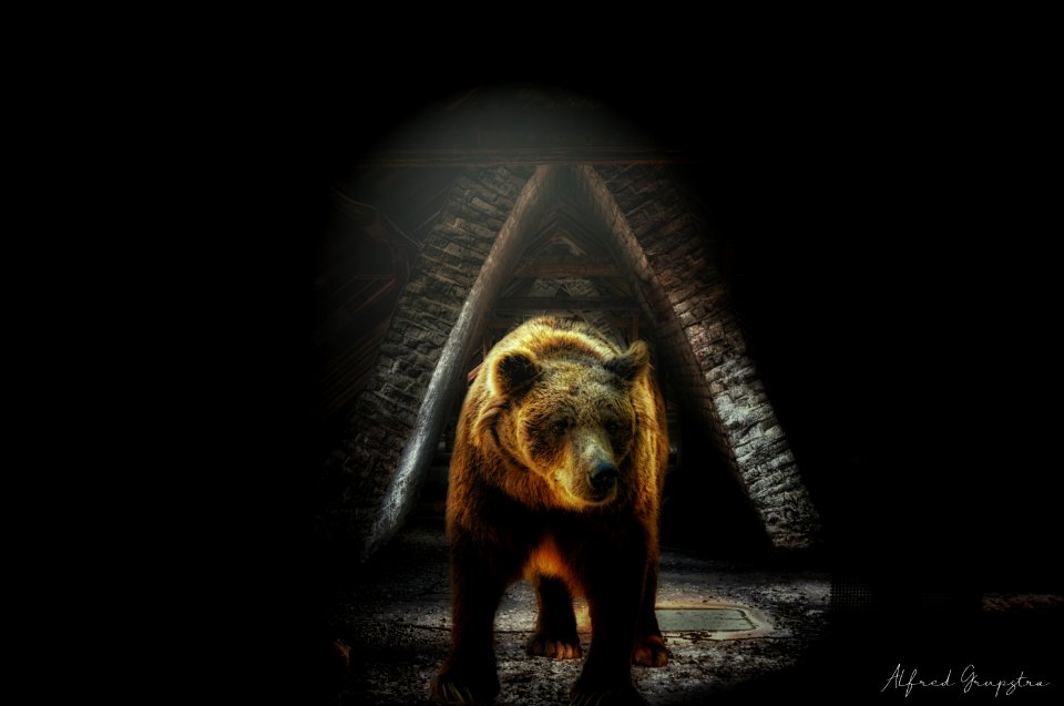 Mommy, There's A Bear In The Attic!