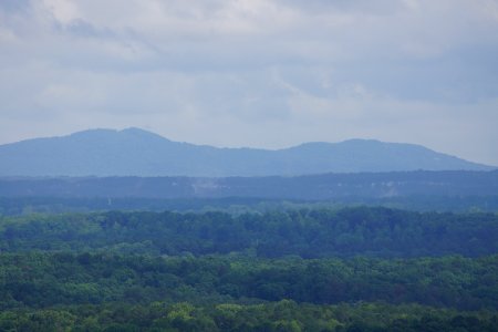 DSC06831