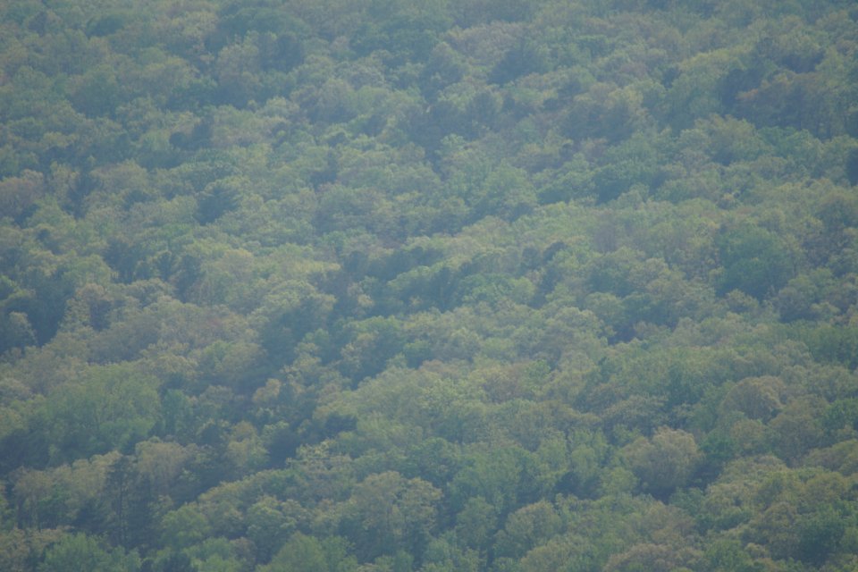 DSC00923
