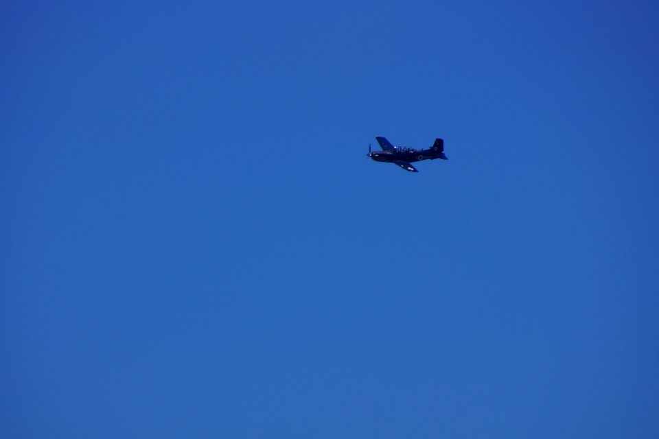 DSC08246