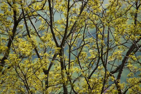DSC00909
