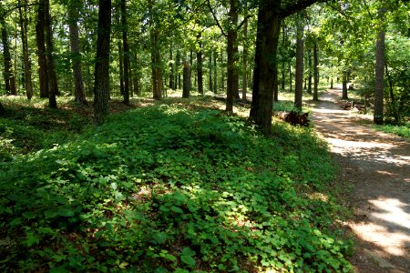 DSC06196