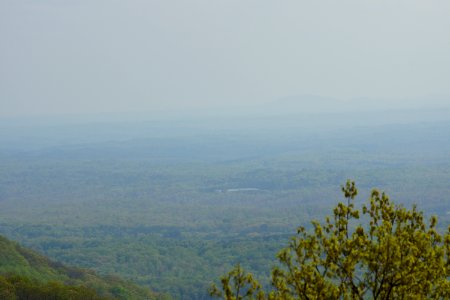 DSC00896
