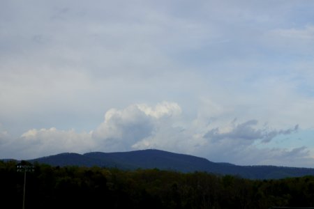 DSC01022