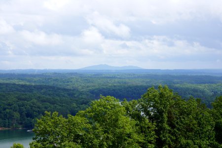 DSC06815