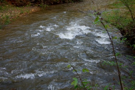 DSC00973