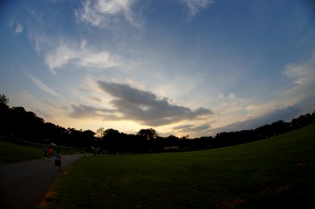 DSC02513