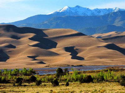 Springtime Cottonwoods, Dunes, and Medano Creek photo