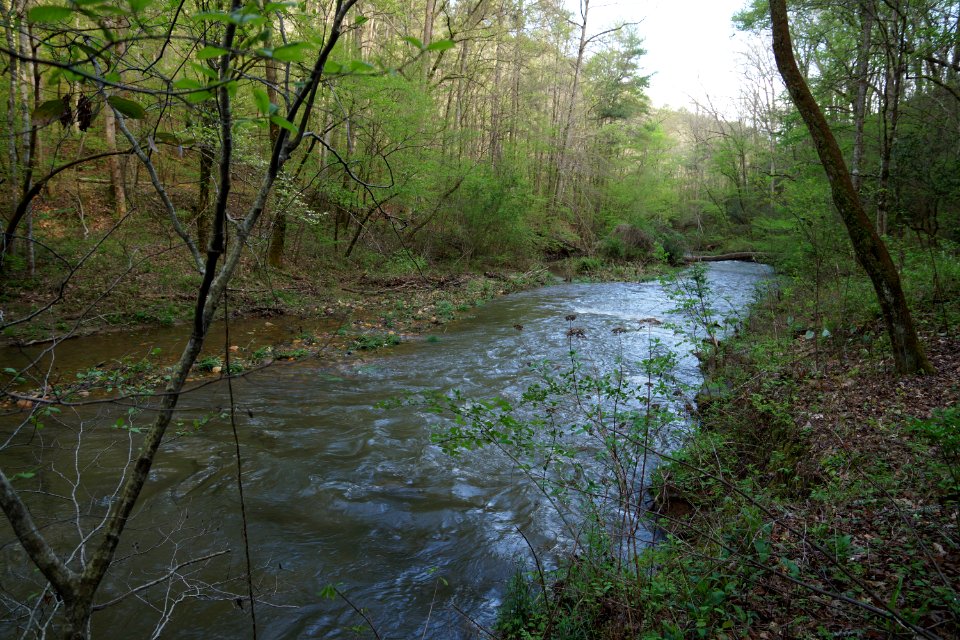 DSC00984