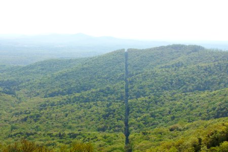 DSC00921
