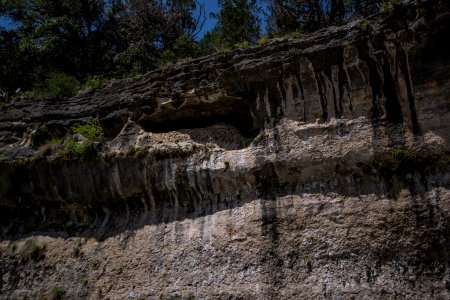 Guadalupe River State Park photo