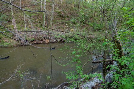 DSC00989