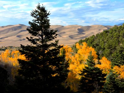 View of Dunes From Mosca Canyon