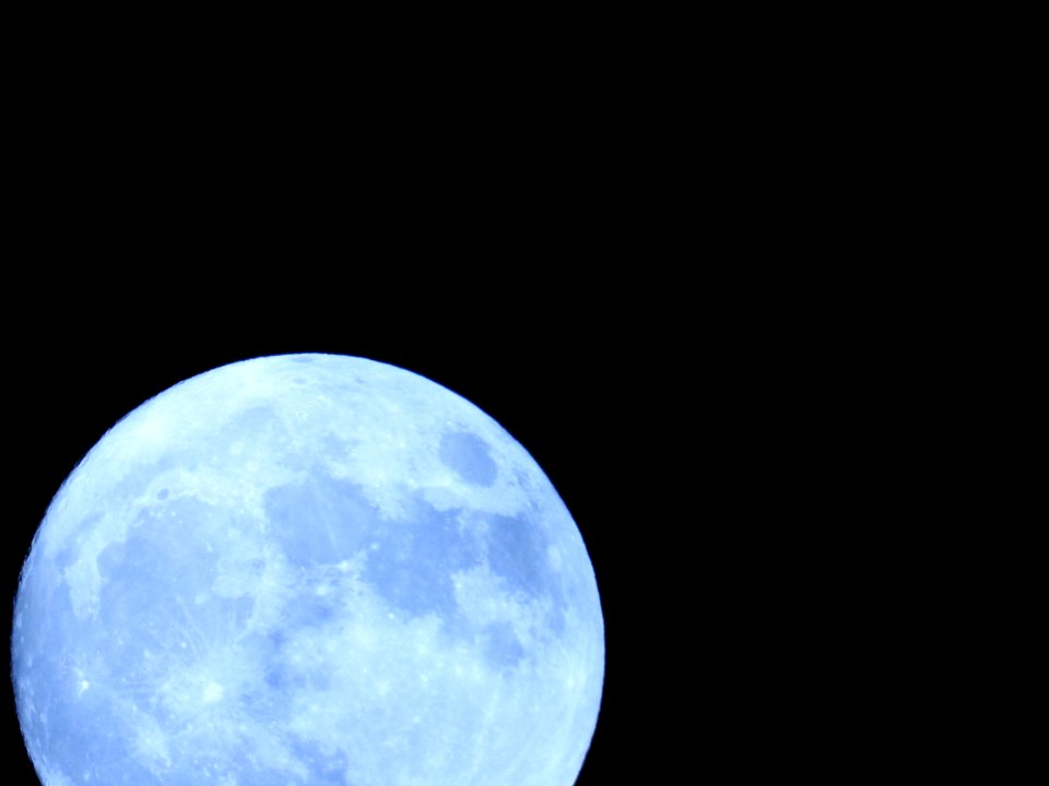 The Supermoon from our garden