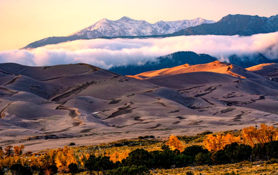 Gold Cottonwoods, Dunes, and Fresh Snow on Cleveland Peak