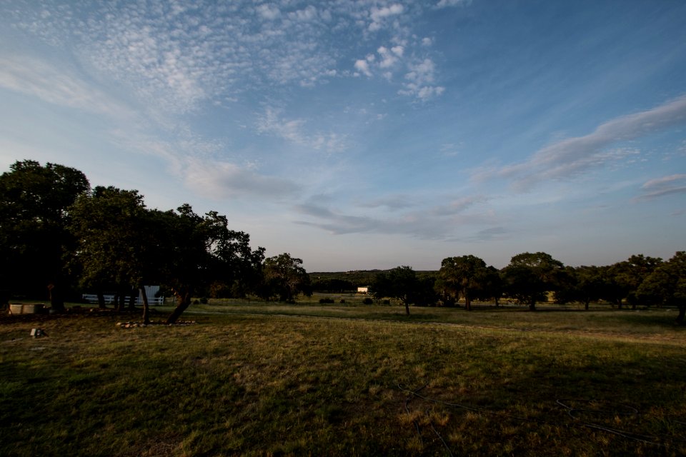 Texas Trip - June 2013