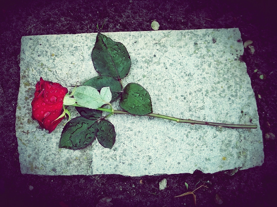 Stone mourning cemetery