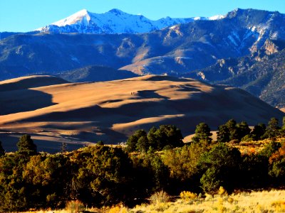 Dunes, Ponderosa Pines, and Cleveland Peak photo