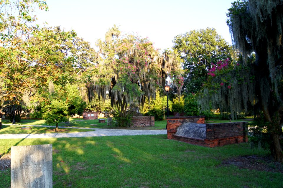 DSC01247